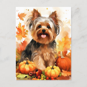 Cartão Postal Yorkshire Terrier Autumn Ação de Graças