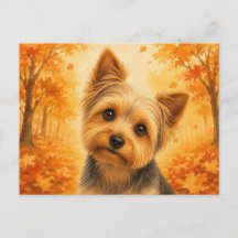 Yorkshire Terrier Autumn Forest Dog