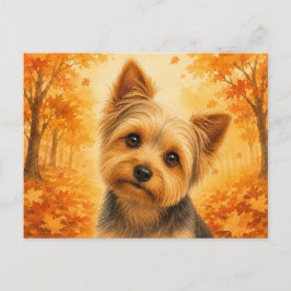 Cartão Postal Yorkshire Terrier Autumn Forest Dog