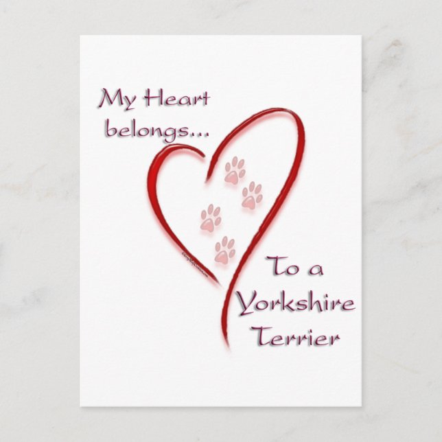 Cartão Postal Yorkshire Terrier Heart Pertence (Frente)