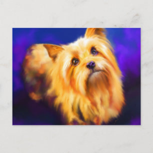 Cartão Postal Yorkshire Terrier Postcard