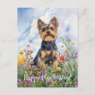Cartão Postal Yorkshire Terrier Postcross - Postcard