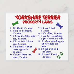 Cartão Postal YORKSHIRE TERRIER Property Laws 2 Yorkie