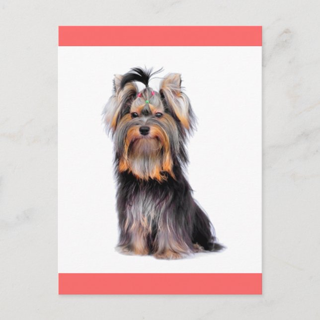 Cartão Postal Yorkshire Terrier Puppy Dog Vazio rosa Cartão-post (Frente)