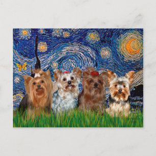 Cartão Postal Yorkshire Terrier Quad - Noite Estrelada
