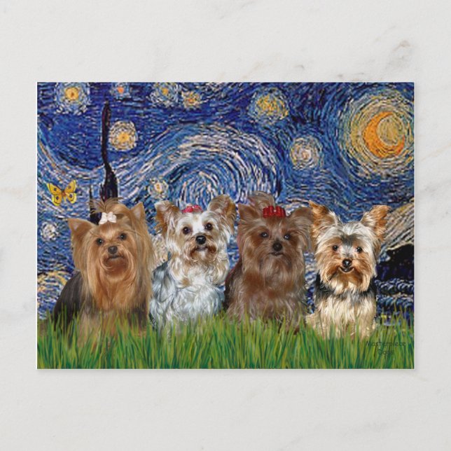 Cartão Postal Yorkshire Terrier Quad - Noite Estrelada (Frente)