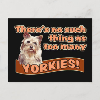 CARTÃO POSTAL YORKSHIRE TERRIERS