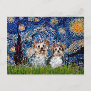 Cartão Postal Yorkshire Terriers (13 e 15) - Noite Estrelada