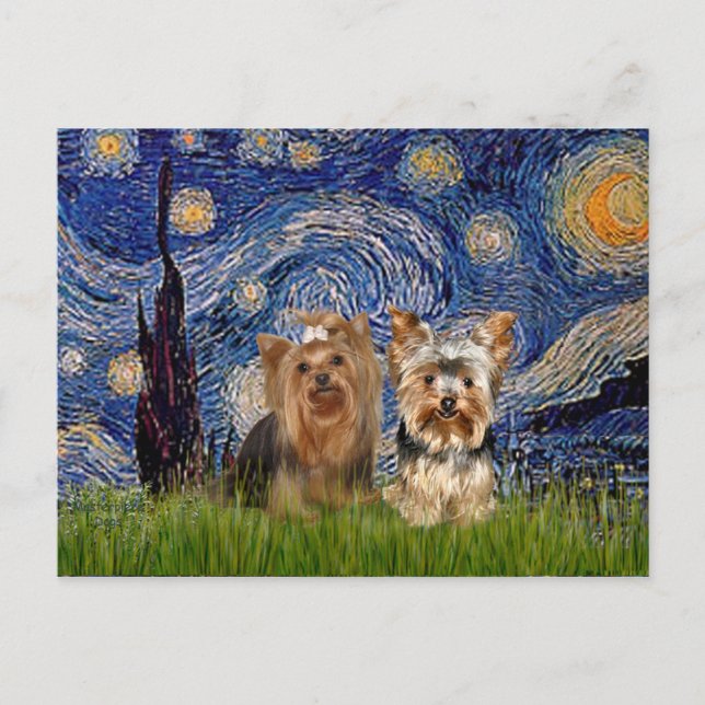 Cartão Postal Yorkshire Terriers (7 e 17) - Starry Night (Frente)