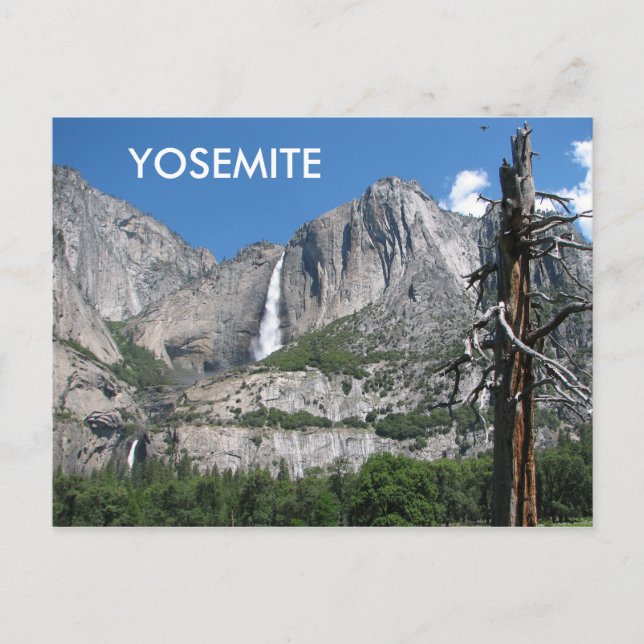 Cartão postal Yosemite! (Frente)