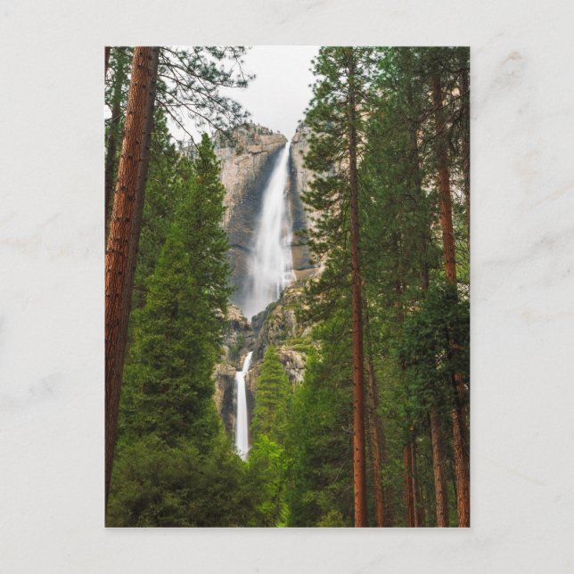 Cartão Postal Yosemite Falls através da Floresta (Frente)