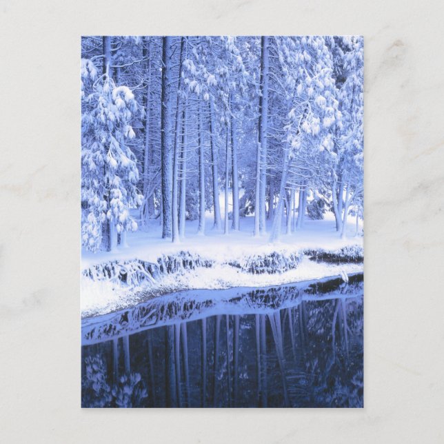 Cartão Postal YOSEMITE NATIONAL PARK, CALIFÓRNIA. EUA. Fresco (Frente)