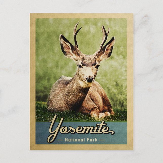 Cartão Postal Yosemite National Park Deer Viagens vintage (Frente)