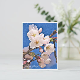 Cartão Postal Yoshino Cherry