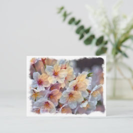 Cartão Postal Yoshino Cherry ポストカード