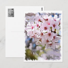 Cartão Postal Yoshino Cherry ポストカード