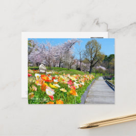 Cartão Postal Yoshino Cherry & Iceland Poppy