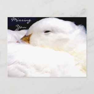 Cartão Postal You_ Postcard ausente