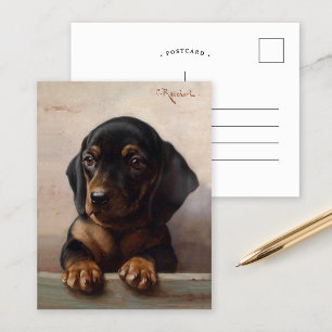 Cartão Postal Young Dachshund Carl Reichert
