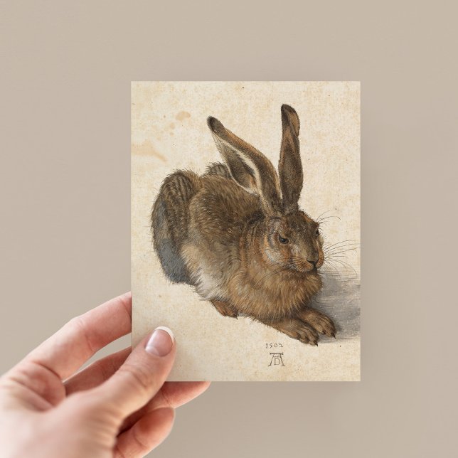 Cartão Postal Young Hare | Albrecht Dürer (Criador carregado)