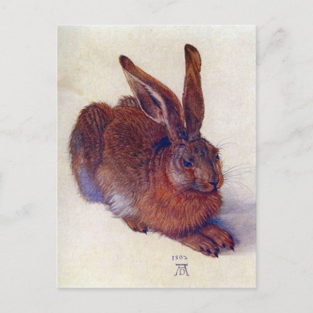 Cartão Postal Young Hare by Albrecht Durer, Renaissance Fine Art (Frente)