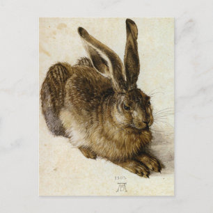 Cartão Postal "Young Hare" por Albrecht Dürer