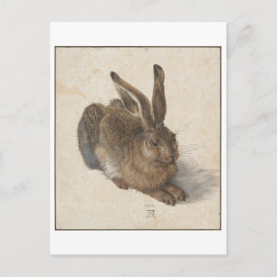 Cartão Postal Young Hare por Albrecht Durer