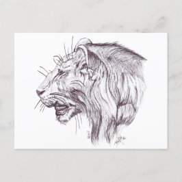 CARTÃO POSTAL YOUNG LION