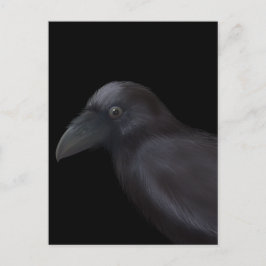 Cartão Postal Young Raven