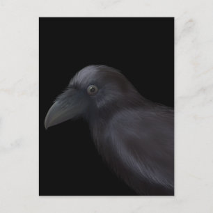 Cartão Postal Young Raven