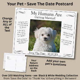 Cartão Postal Your Pet Photo Save The Date Black White Infinity