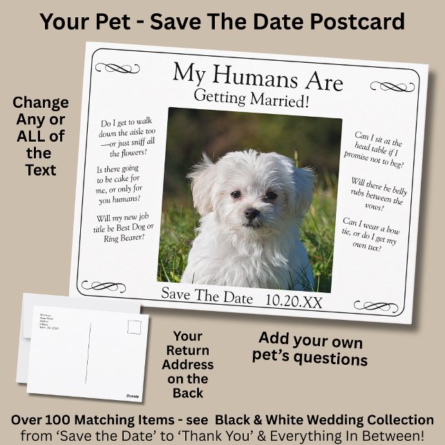 Cartão Postal Your Pet Photo Save The Date Black White Infinity (Criador carregado)