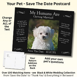 Cartão Postal Your Pet Photo Save The Date Black White Infinity