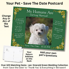 Cartão Postal Your Pet Photo Save The Date Emerald Green & Gold