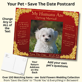 Cartão Postal Your Pet Photo Save The Date Gold Roses Maroon Red