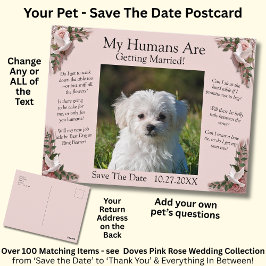 Cartão Postal Your Pet Photo Save The Date Pink Roses & Doves