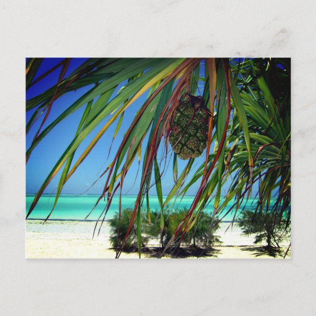 Cartão Postal Zanzibar , África (Frente)