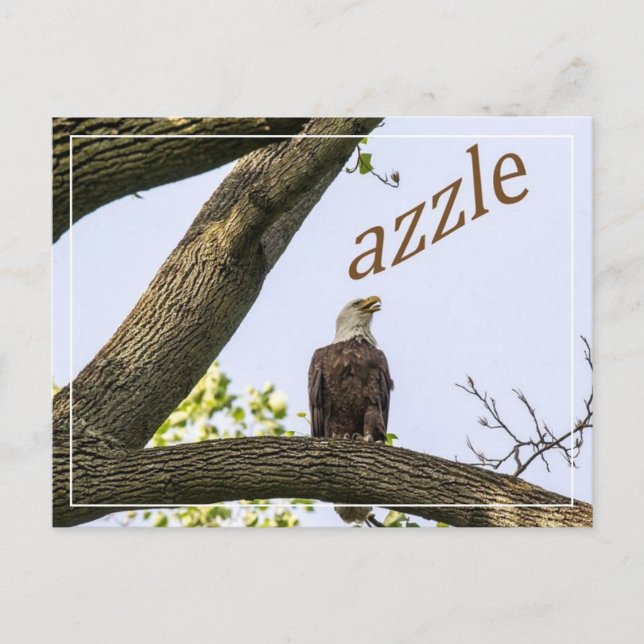 Cartão Postal Zazzle Valley Visions (Frente)