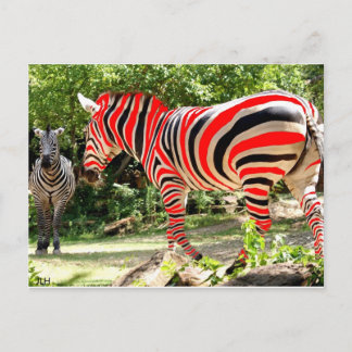 Cartão Postal Zebhuh? por JLH