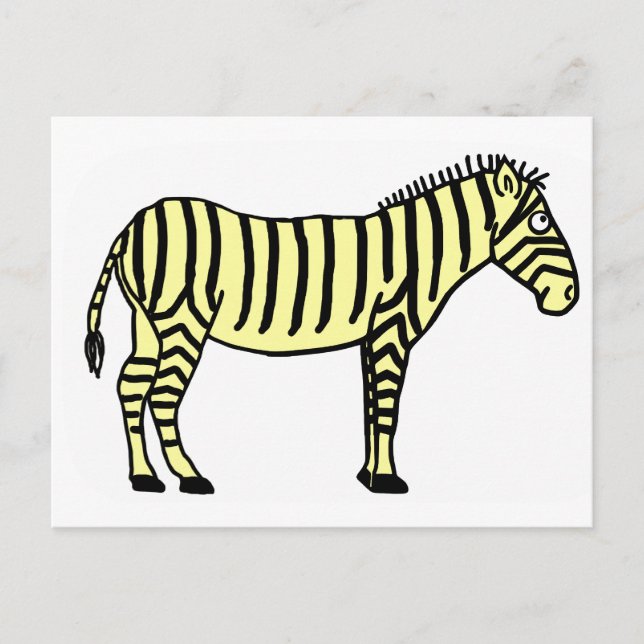 Cartão Postal Zebra (Frente)