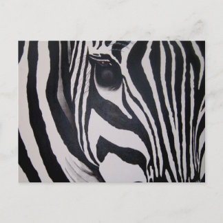 Cartão Postal Zebra
