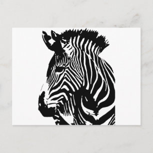 Cartão Postal Zebra
