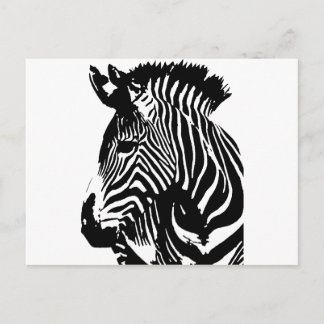 Cartão Postal Zebra