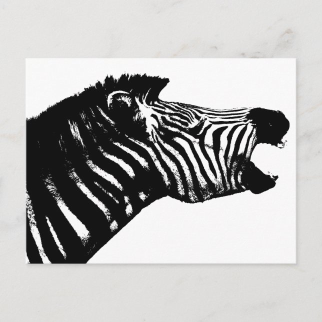 Cartão Postal Zebra (Frente)