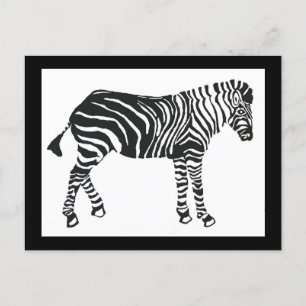 Cartão postal Zebra