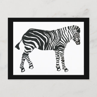 Cartão postal Zebra