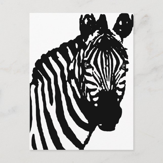 Cartão Postal zebra. (Frente)