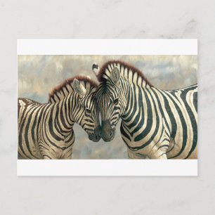 Cartão Postal zebra-clip-art-3