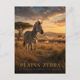Cartão Postal Zebra-da-planície Savana da África Oriental ANIMAI