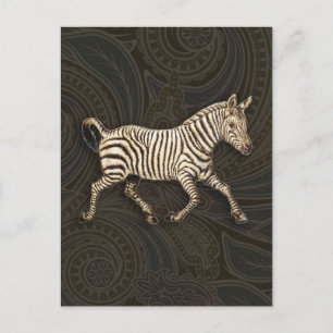 Cartão Postal zebra de safra com design paisley